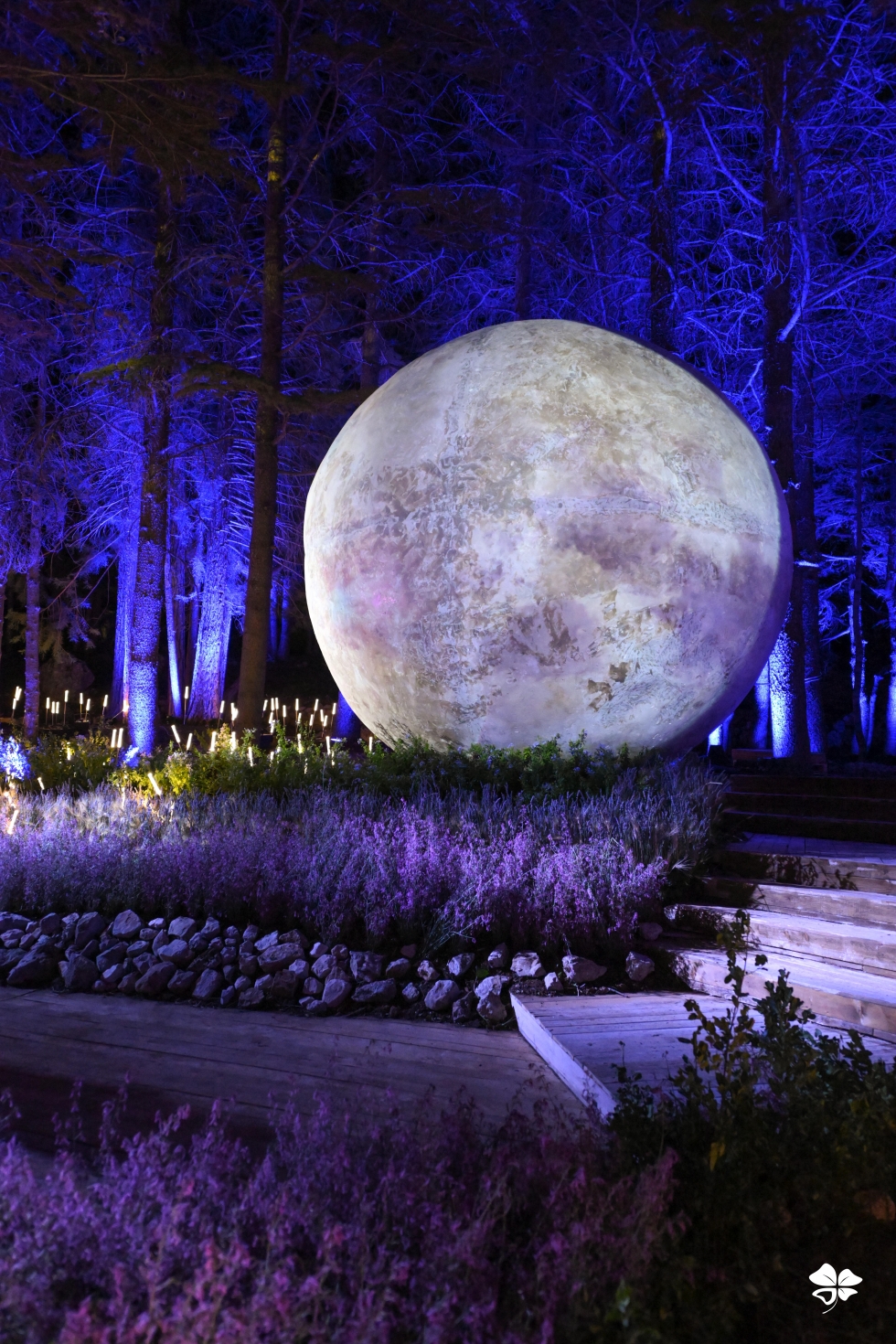 A Lebanese Fairytale in the Cedars