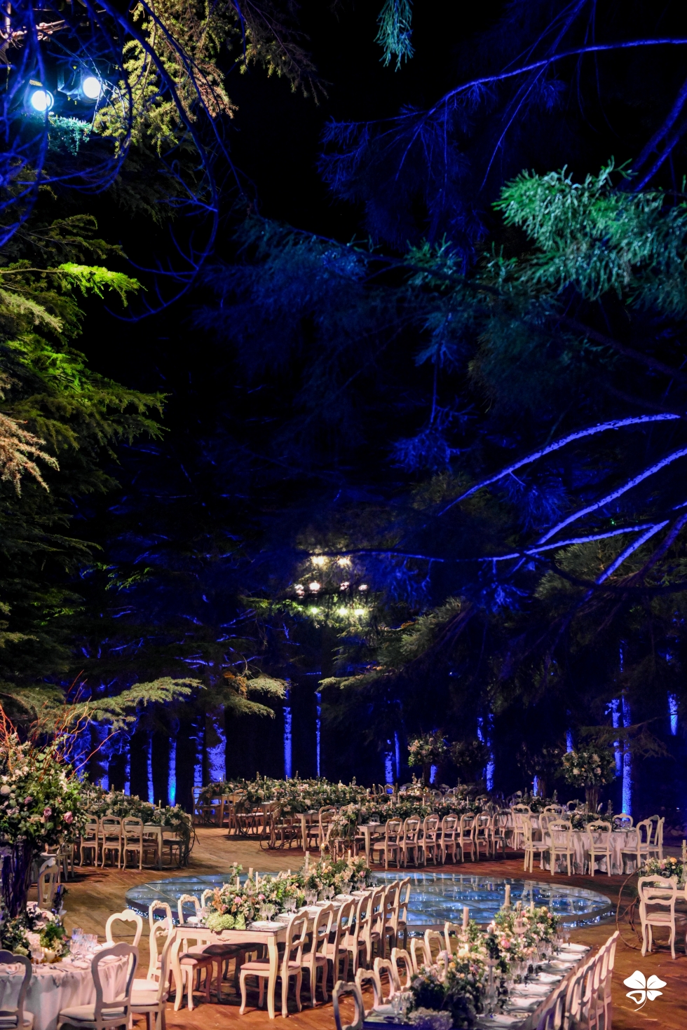 A Lebanese Fairytale in the Cedars