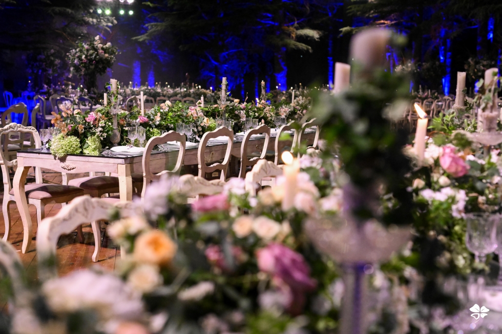 A Lebanese Fairytale in the Cedars