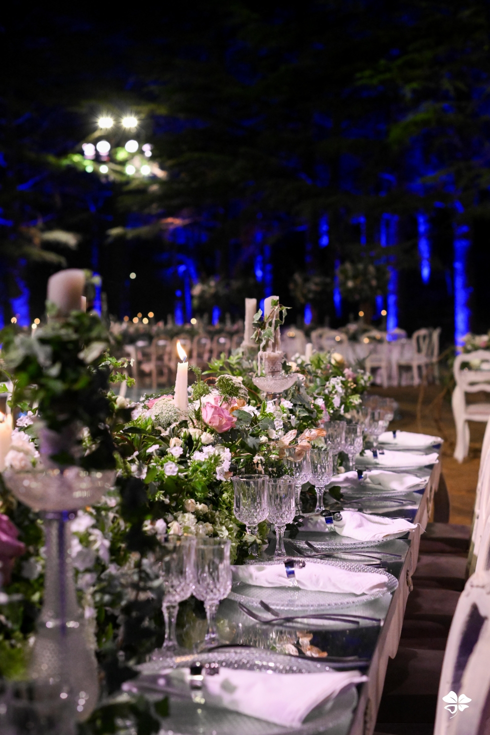 A Lebanese Fairytale in the Cedars