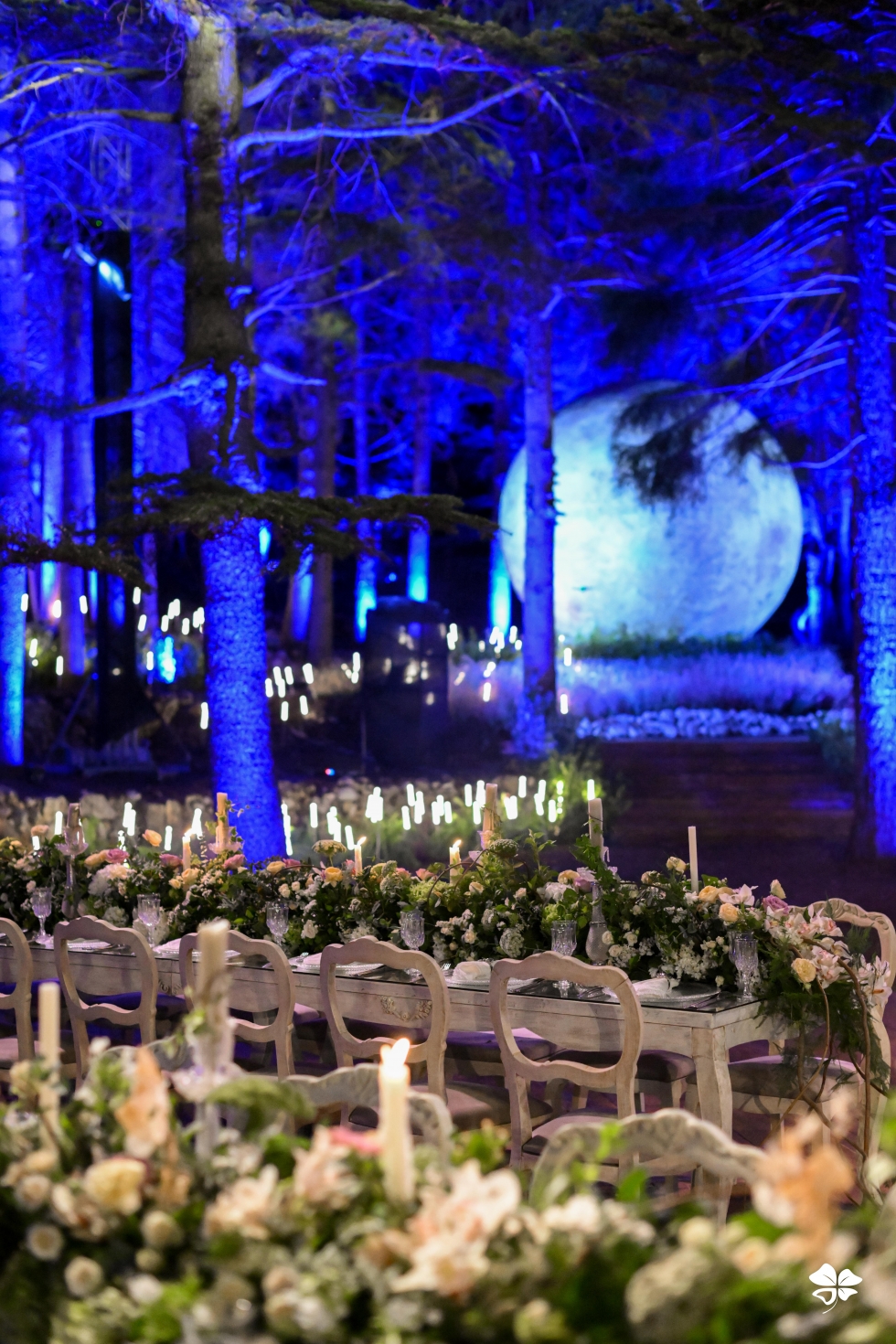 A Lebanese Fairytale in the Cedars