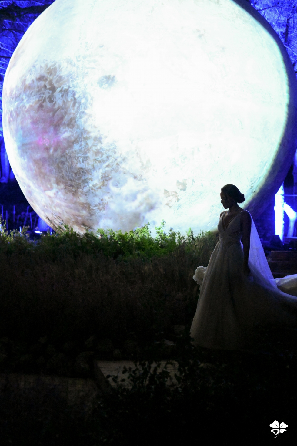 A Lebanese Fairytale in the Cedars