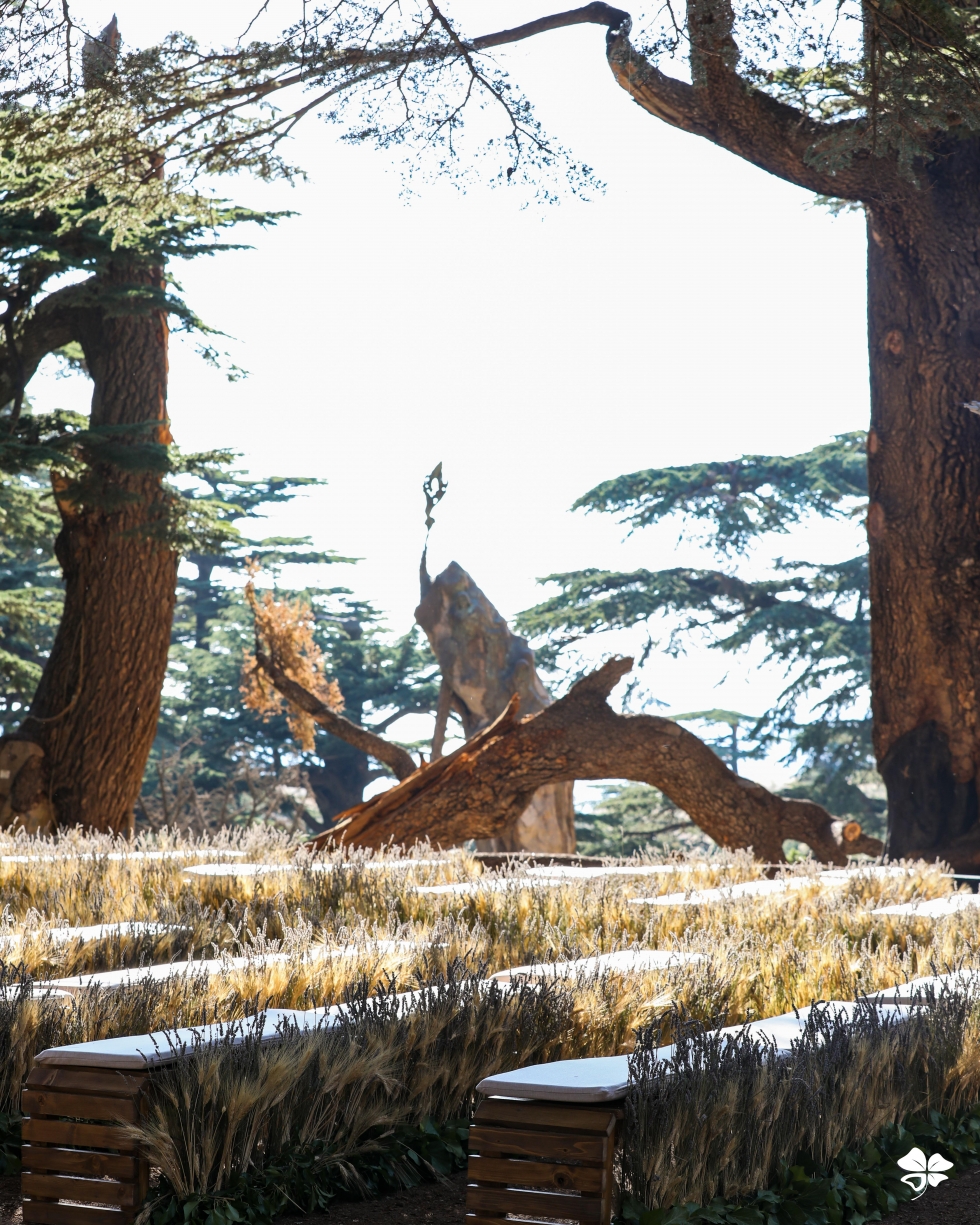 A Lebanese Fairytale in the Cedars