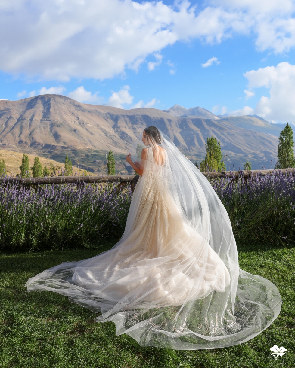 A Lebanese Fairytale in the Cedars
