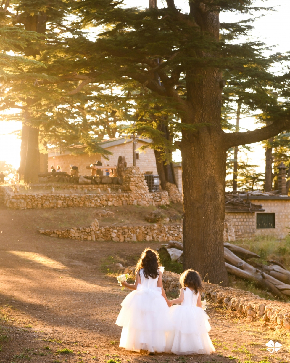 A Lebanese Fairytale in the Cedars