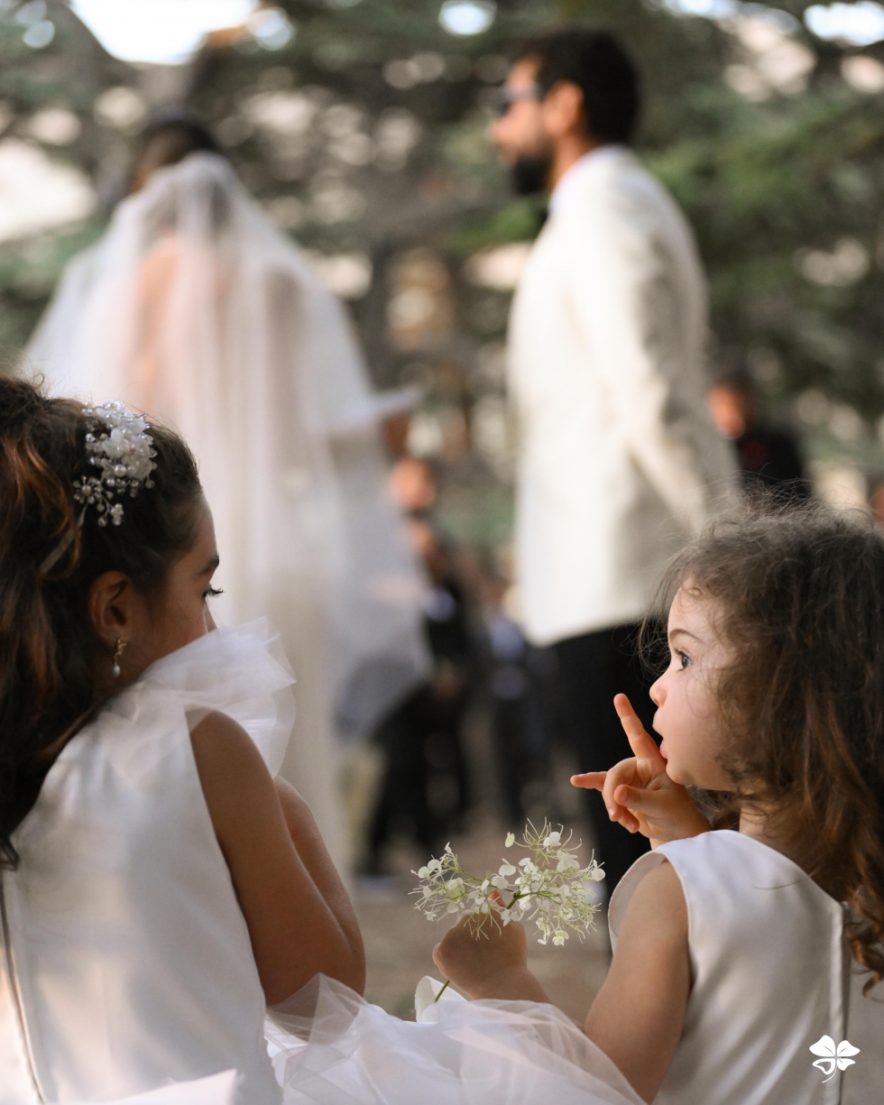 A Lebanese Fairytale in the Cedars