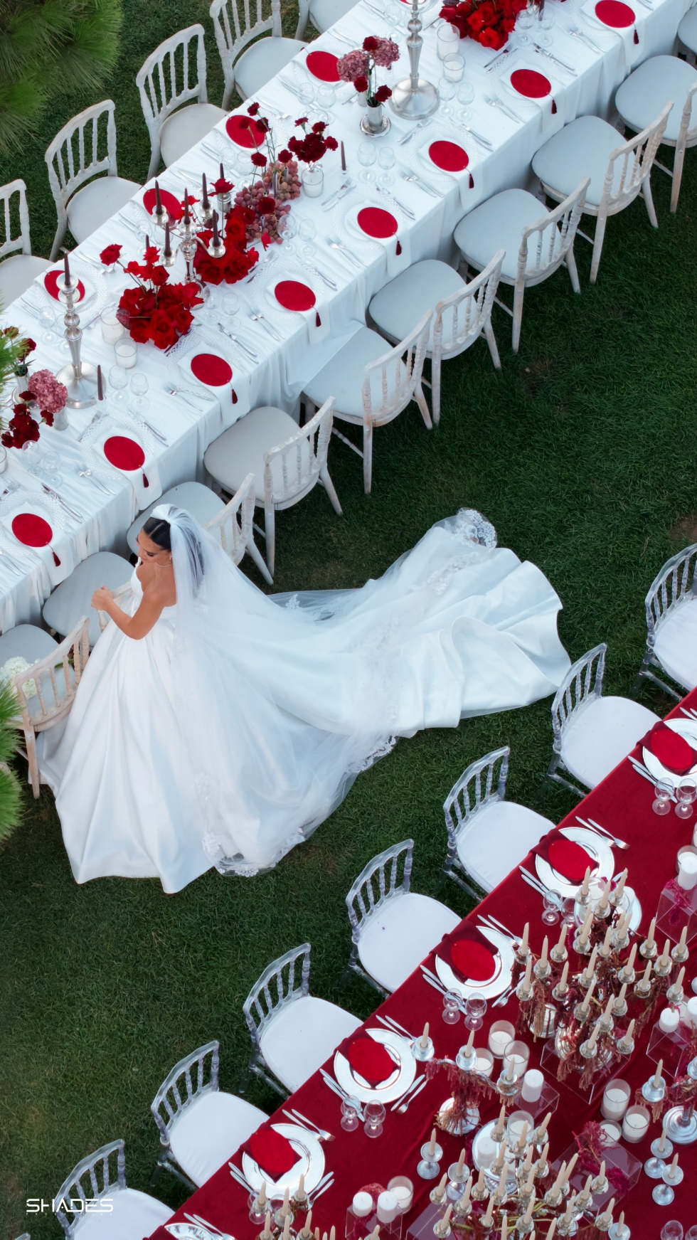 A Night of Red, White, and Timeless Delight
