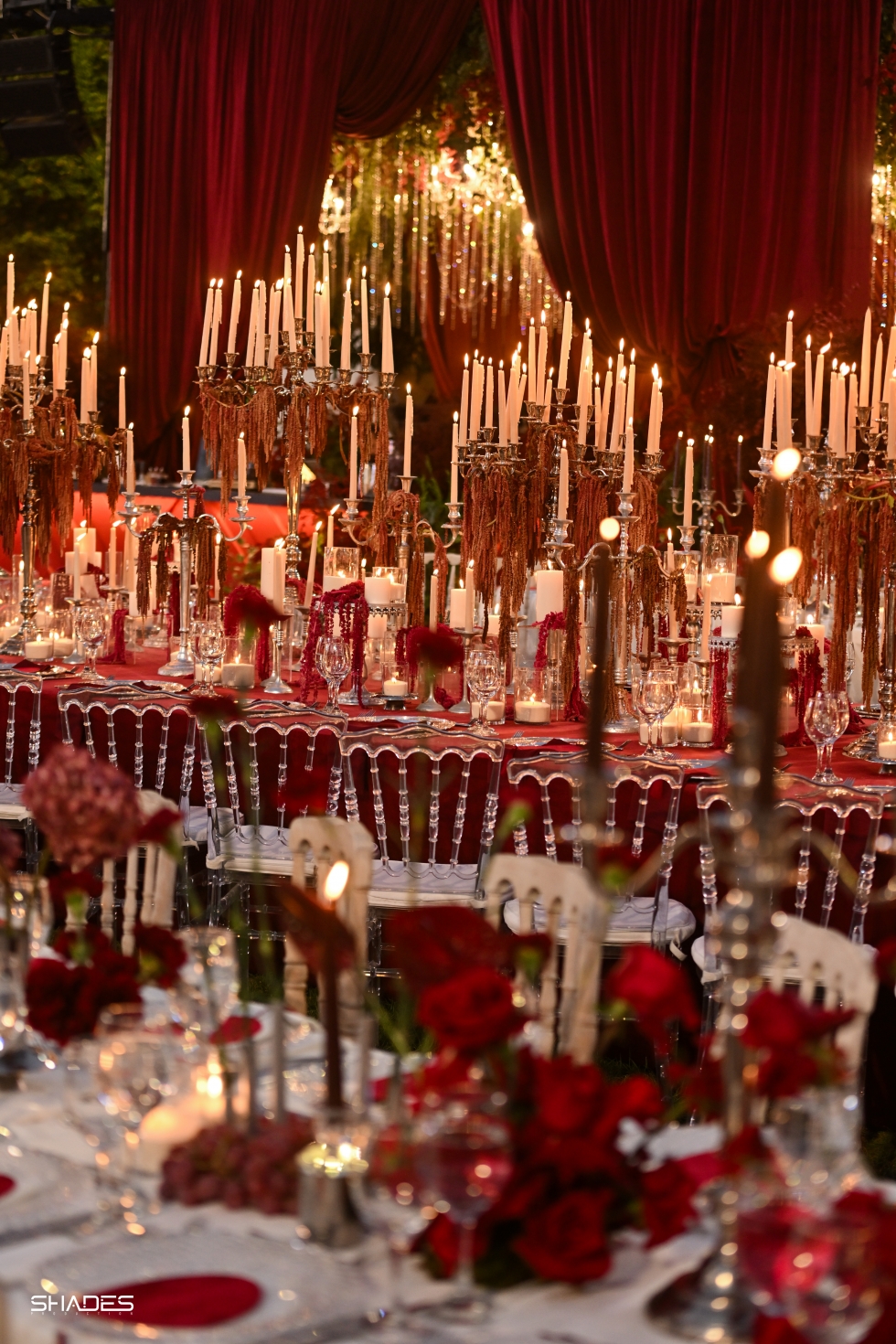 A Night of Red, White, and Timeless Delight