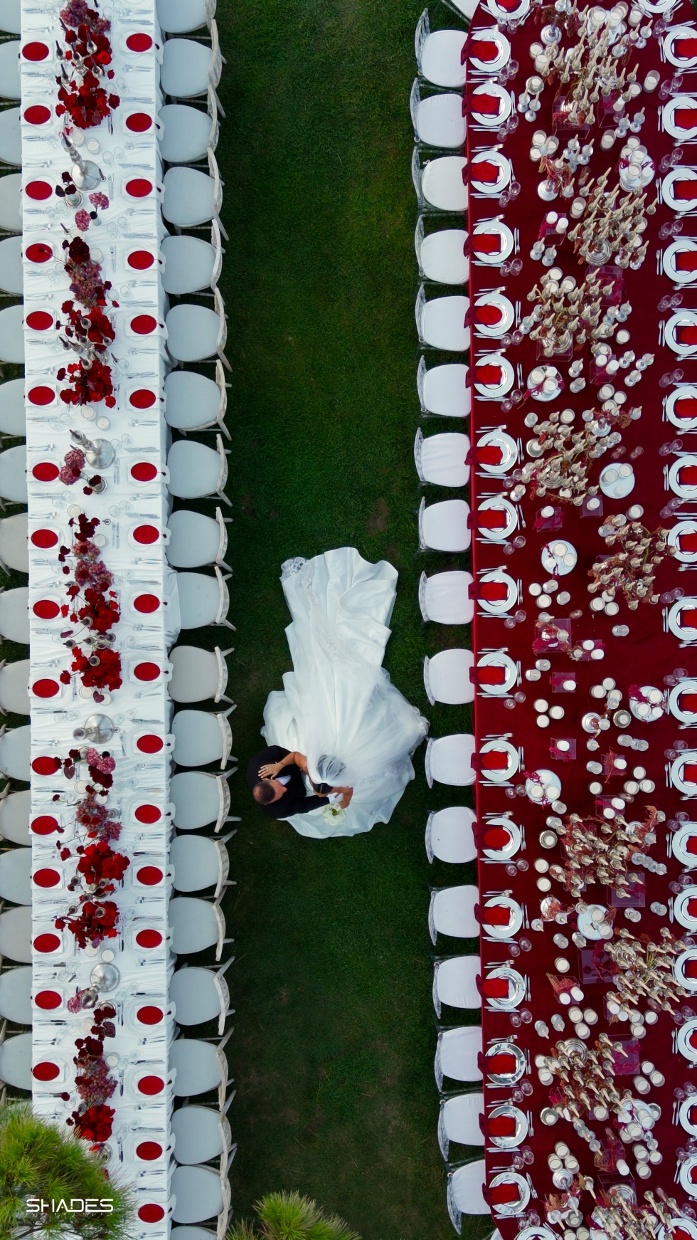 A Night of Red, White, and Timeless Delight