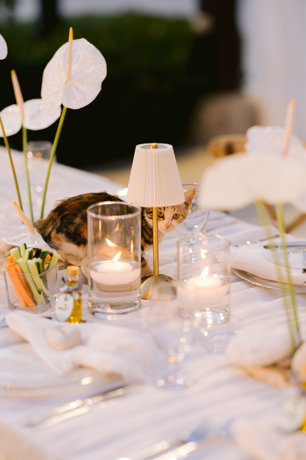 A Calla Lilies Dream Wedding in Jordan A Calla Lilies Dream Wedding in Jordan