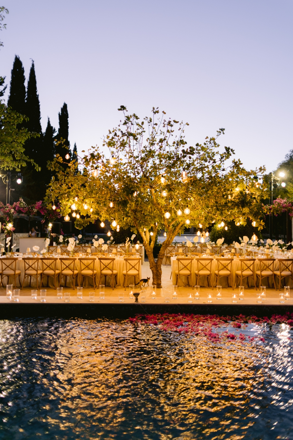 A Calla Lilies Dream Wedding in Jordan A Calla Lilies Dream Wedding in Jordan