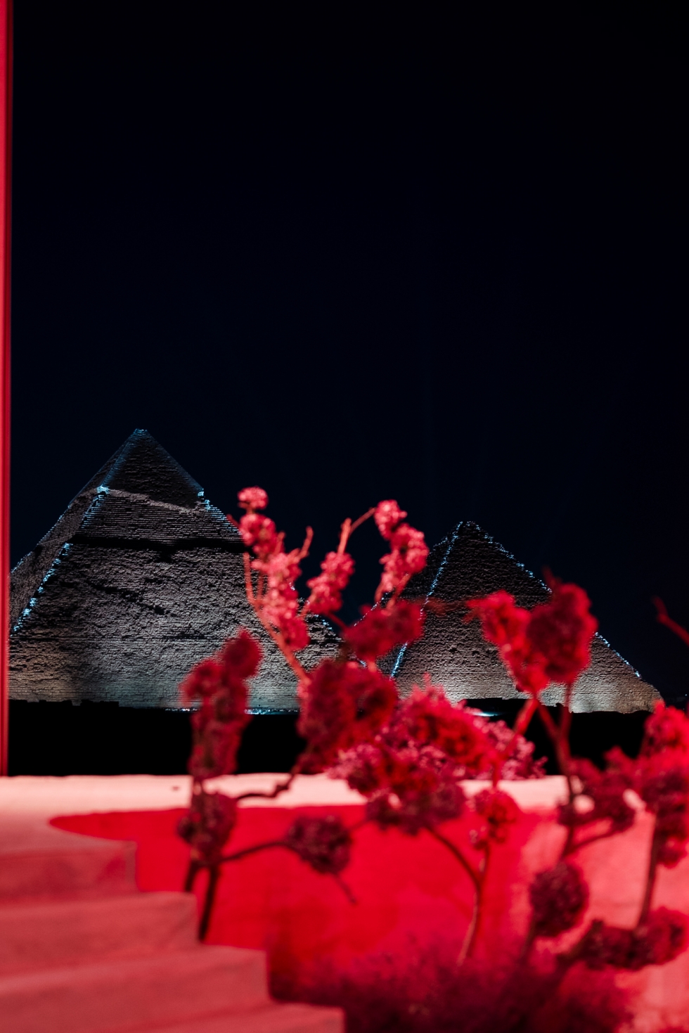 حفل زفاف يأسر القلوب بين أهرامات الجيزة حفل زفاف يأسر القلوب بين أهرامات الجيزة