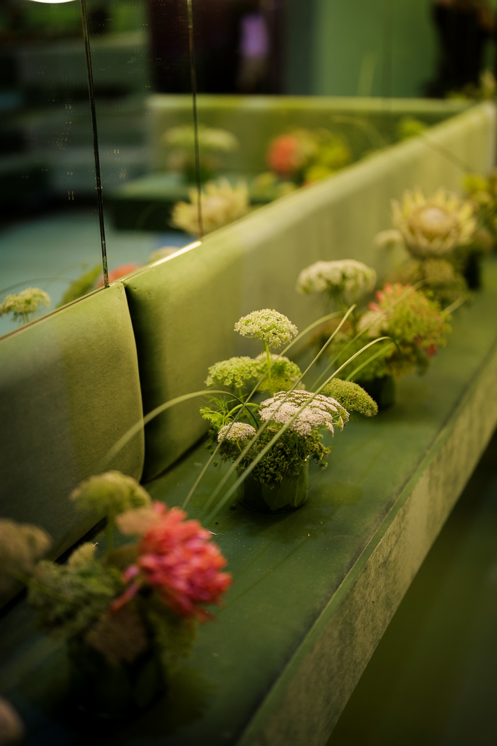 حفل زفاف يأسر القلوب بين أهرامات الجيزة حفل زفاف يأسر القلوب بين أهرامات الجيزة