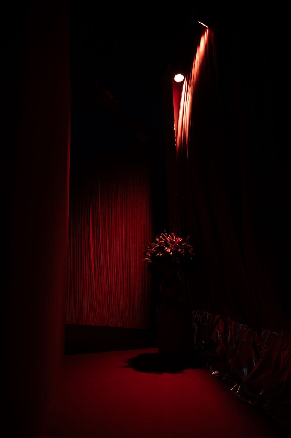 حفل زفاف يأسر القلوب بين أهرامات الجيزة حفل زفاف يأسر القلوب بين أهرامات الجيزة