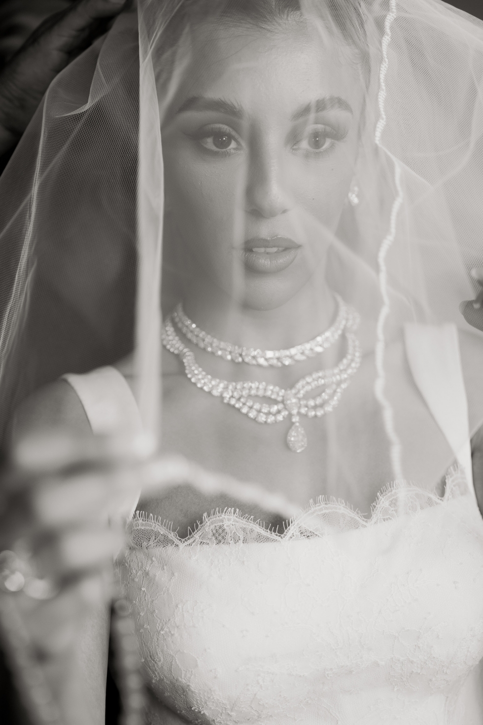 حفل زفاف يأسر القلوب بين أهرامات الجيزة حفل زفاف يأسر القلوب بين أهرامات الجيزة