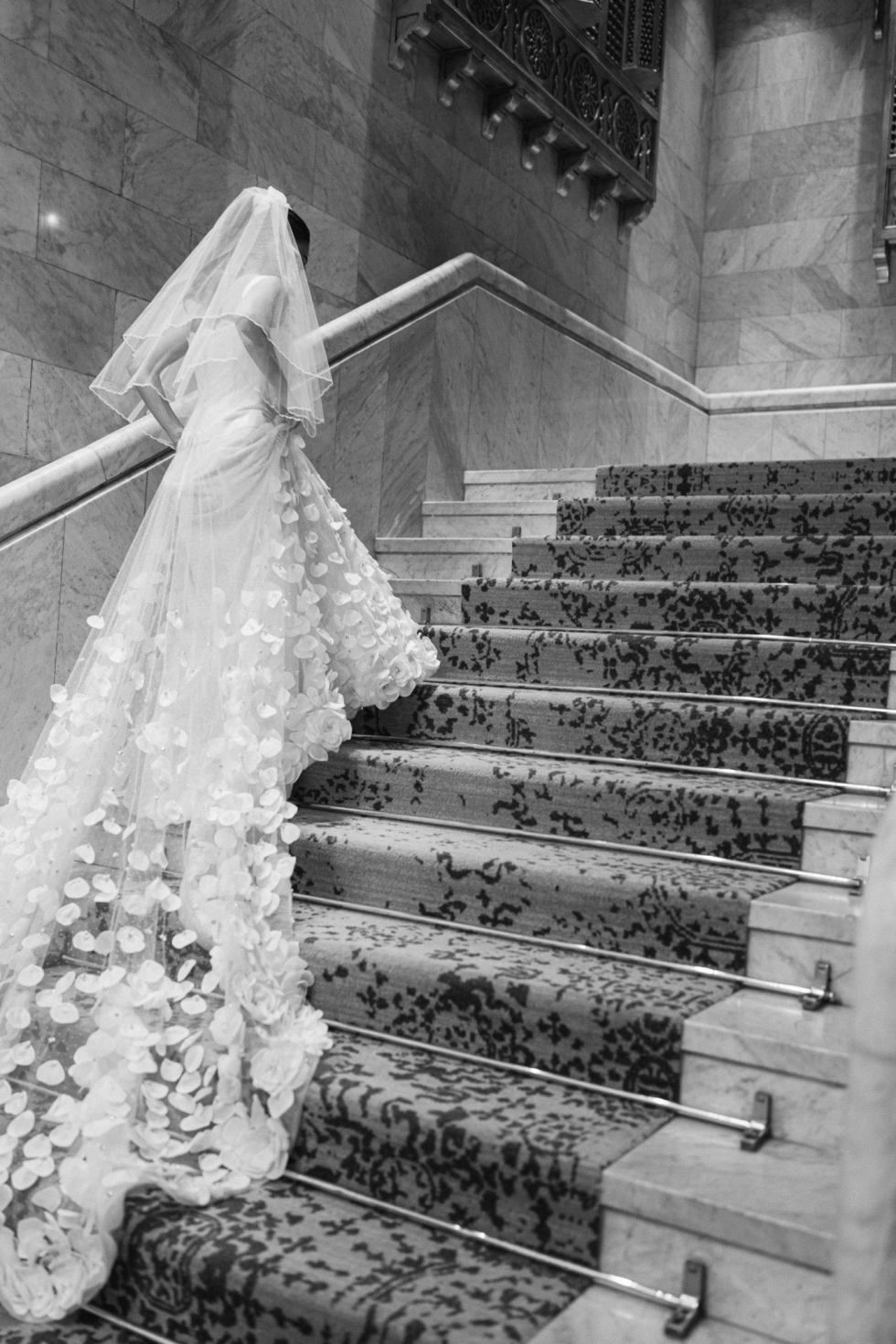 حفل زفاف يأسر القلوب بين أهرامات الجيزة حفل زفاف يأسر القلوب بين أهرامات الجيزة