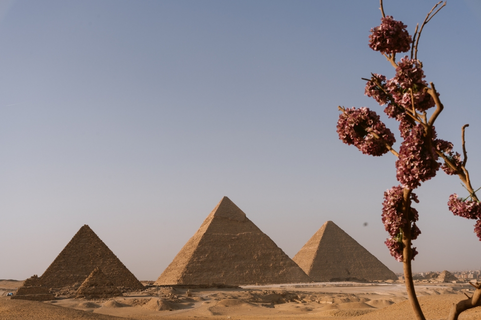 حفل زفاف يأسر القلوب بين أهرامات الجيزة حفل زفاف يأسر القلوب بين أهرامات الجيزة