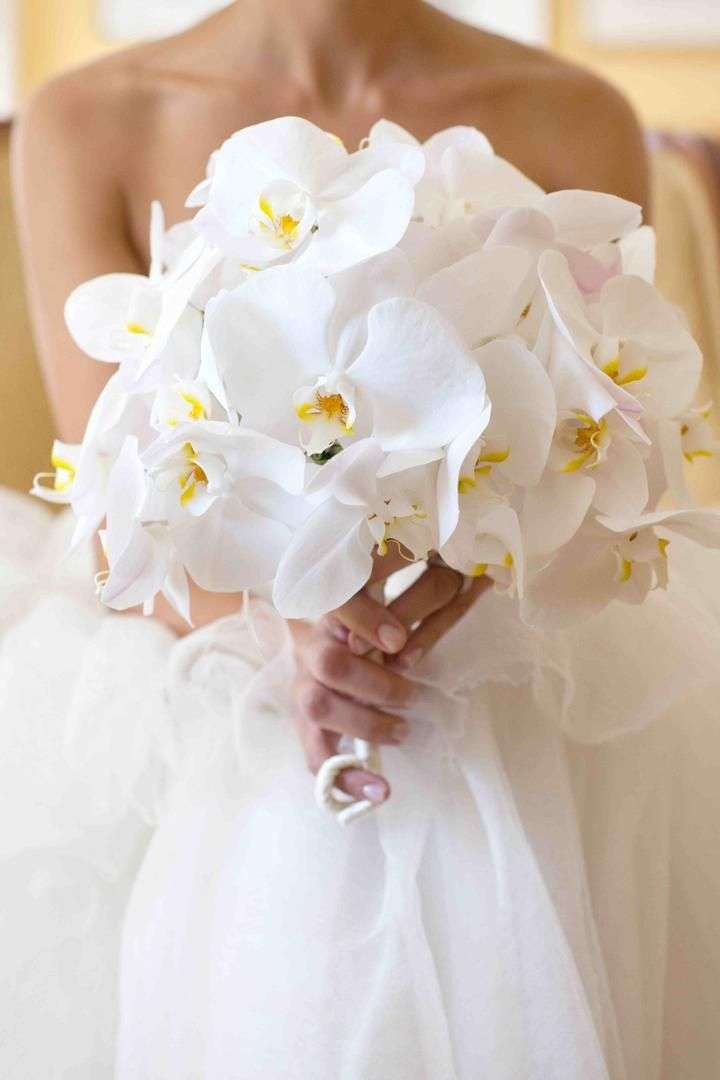 white orchid wedding flowers