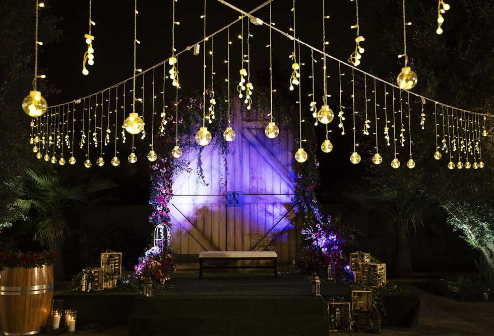 Goldfish Photography and Video