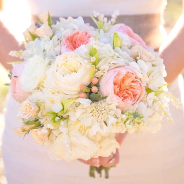 Valentino Flowers Valentino Flowers