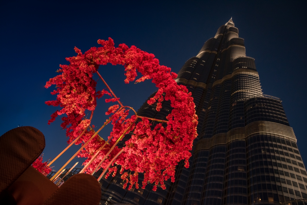 Silverfox Events FZC