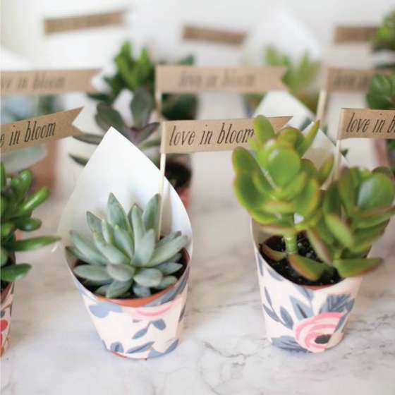 Creative Wedding Favors