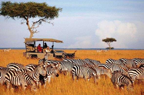 محمية ماساي مارا الوطنية، كينيا